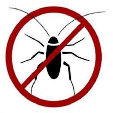 Problemas com insetos? Saiba como os afastar!